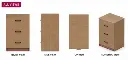 CG-PD-001_Multi-angle View.webp